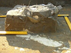 Fragment wykopu archeologicznego z widocznym skupiskiem srebrnych monet odsłoniętych w bryle ziemi. Obok znajdują się miarki używane podczas dokumentacji stanowiska.